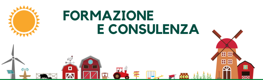 annatitagallo_xomunicazione